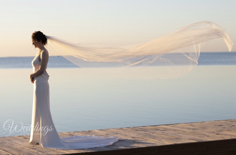 Full Wedding Planning - Weddings By Wendi a woman in a white dress with a long veil over her head